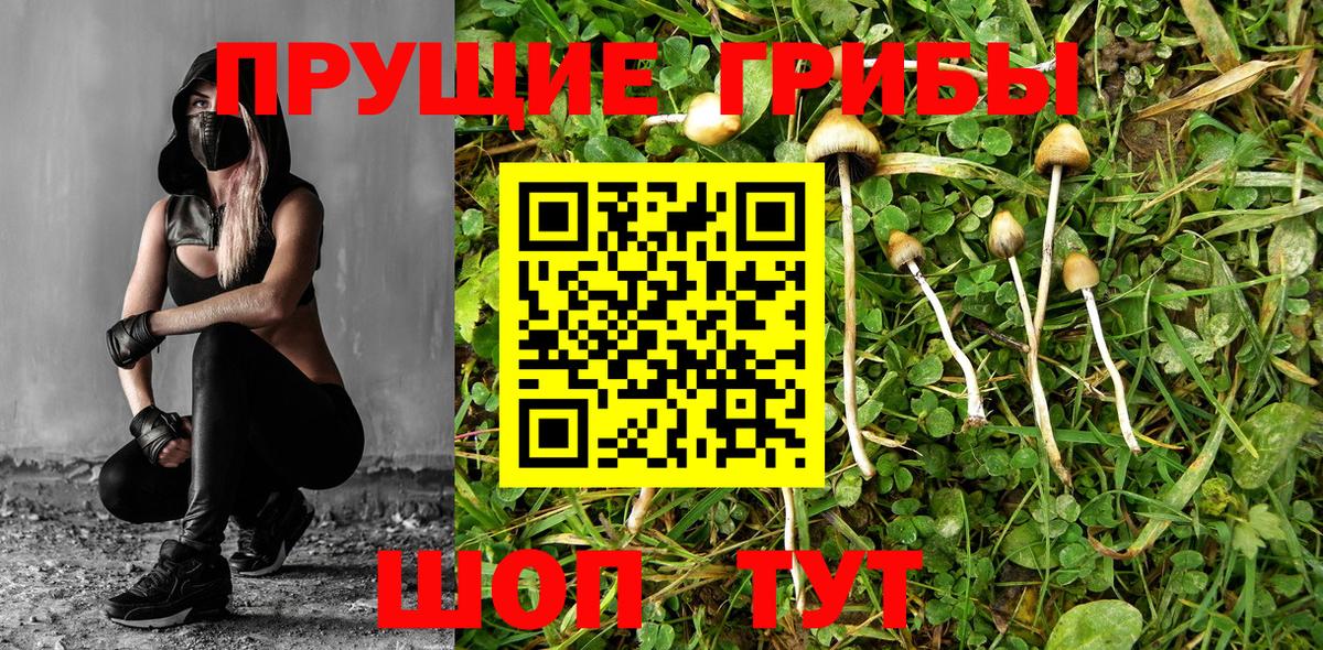 Галлюциногенные грибы прущие грибы Аша