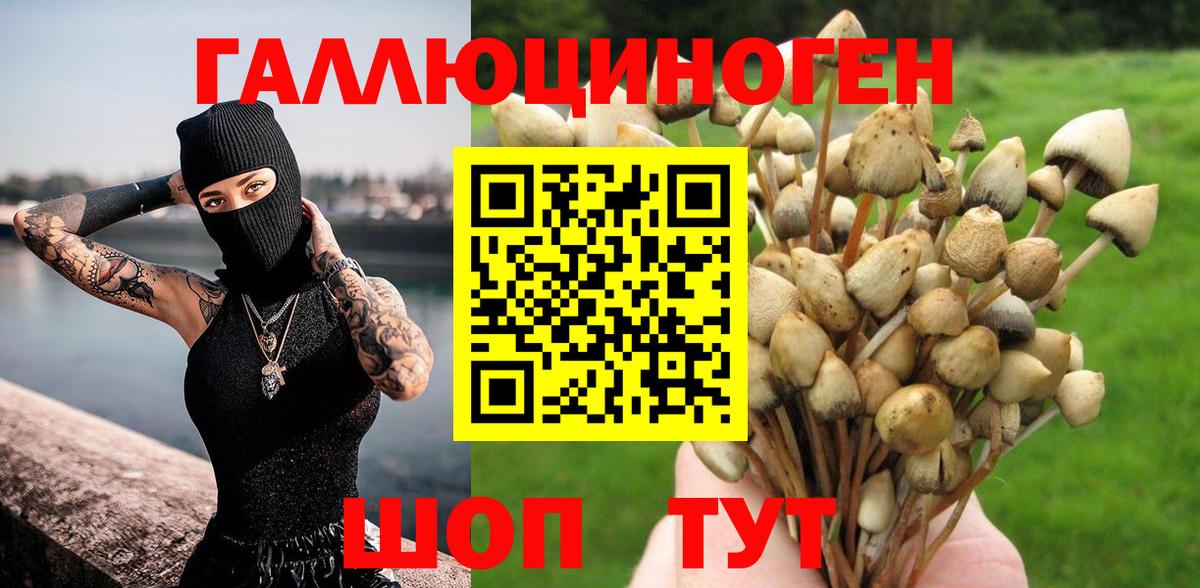 Аша  Псилоцибиновые грибы Psilocybine cubensis  Вход с VPN 